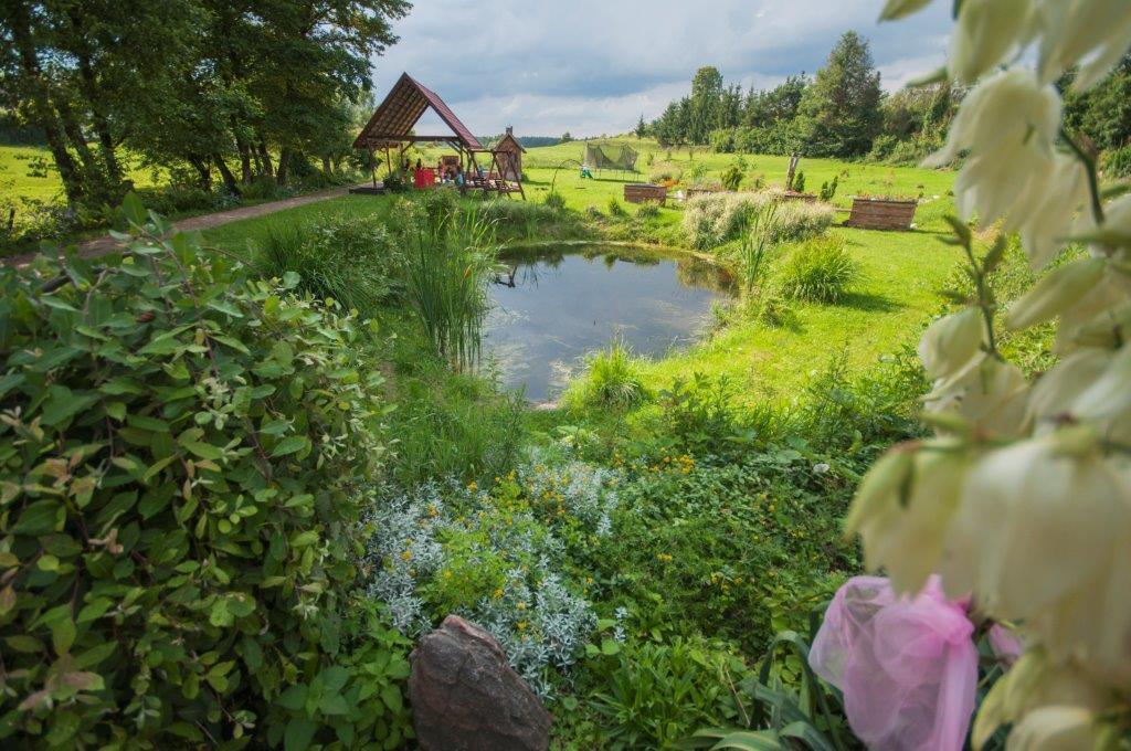 Pensjonat Agroturystyczny Pod Modrzewiem Bed & Breakfast Florczaki Екстериор снимка